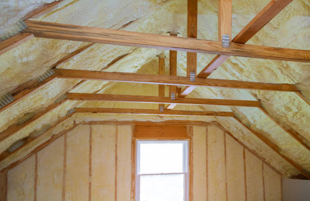 Best DIY Insulation Kits and Guidance in Cassville, MO
