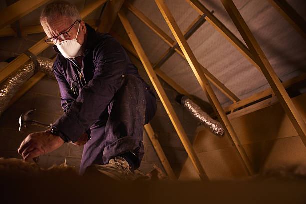 Best Blown-in Insulation in Cassville, MO