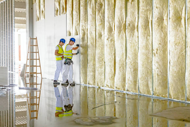 Best Spray Foam Insulation in Cassville, MO